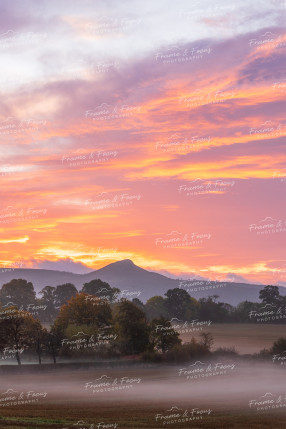 To buy a print or any of the below please click on the images